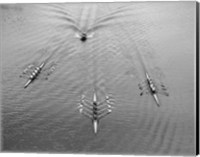 1950s Aerial View Of Rowing Competition Fine Art Print