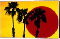 1990S 3 Silhouetted Palm Trees Fine Art Print