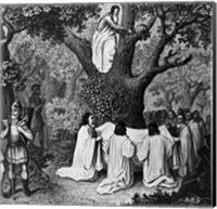 Illustration Of Druid Priests Fine Art Print