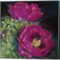 Blooming Succulent III Fine Art Print