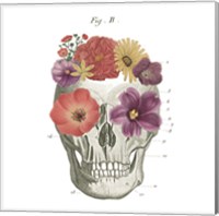 Floral Skull II Fine Art Print