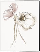 Three Somniferums Poppies Neutral II Fine Art Print