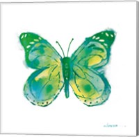 Birdsong Garden Butterfly I on White Fine Art Print