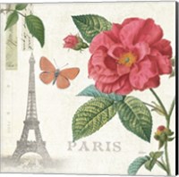 Paris Arbor III Fine Art Print
