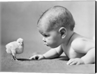 1930s Human Baby Face To Face With Baby Chick Fine Art Print