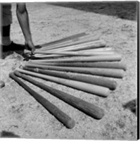1950s Baseball Player Selecting A Variety Of Bats Fine Art Print