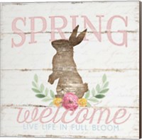 Spring Welcome Fine Art Print