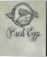 Fresh Eggs Fine Art Print