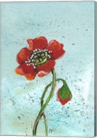 Poppies II Fine Art Print