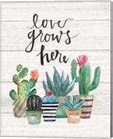 Love Grows Here Fine Art Print