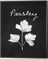 Parsley Fine Art Print