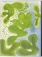 Green Lagoon Fine Art Print