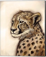 Cheetah Portrait Fine Art Print