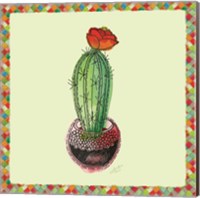 Rainbow Cactus I Fine Art Print