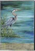 Great Blue - Heron - 2 Fine Art Print