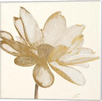 Vintage Lotus Cream I Fine Art Print