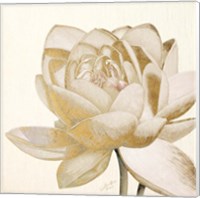 Vintage Lotus Cream II Fine Art Print