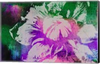 Color Pop Flower Fine Art Print
