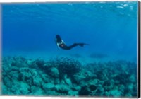 View of Mermaid Swimming Undersea, Hawaii Fine Art Print