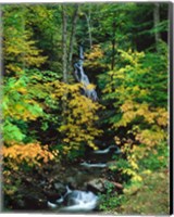 Moss Glen Falls, Granville Reservation State Park, Vermont Fine Art Print