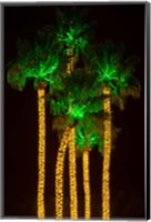 Illuminated Palm Trees at Dana Point Harbor, California Fine Art Print