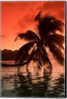 Palm Trees at Sunset, Moorea, Tahiti, French Polynesia Fine Art Print