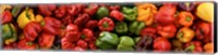 Close-up of Assorted Peppers Fine Art Print