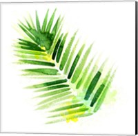 Tropical Icons Palm Frond Fine Art Print