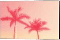 Palm Trees in Pink Fine Art Print