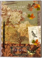Autumn Leaf Fine Art Print