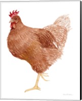Life on the Farm Chicken Element IV Fine Art Print
