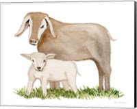 Life on the Farm Animal Element II Fine Art Print