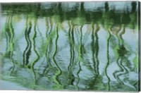 Green Bridge Reflection in Water Fine Art Print