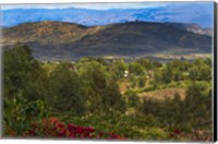 Red flowers and Farmland in the Mountain, Konso, Ethiopia Fine Art Print