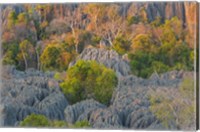 Limestone Formations, Tsingy de Bemaraha Strict Nature Reserve, Madagascar Fine Art Print
