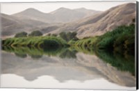 Greenery Along the Banks of the Kunene River, Namibia Fine Art Print