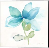 Blue Poppy Field Single I Fine Art Print