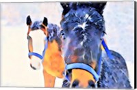 Snow Horses Fine Art Print