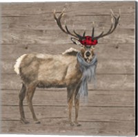 Warm in the Wilderness Deer Fine Art Print