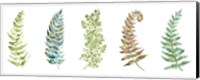 Botanical Ferns Panel Fine Art Print