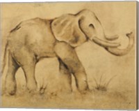 Global Elephant Light Crop Fine Art Print