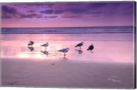 Seagull Beach I Fine Art Print