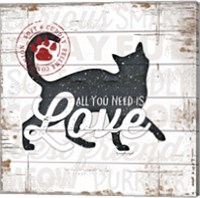 All You Need is Love - Cat Fine Art Print