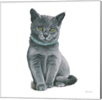 Cutie Kitties VI Fine Art Print