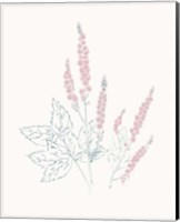 Flowers on White VII Contemporary Fine Art Print