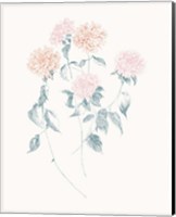 Flowers on White VI Contemporary Fine Art Print