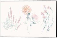 Flowers on White VIII Contemporary Fine Art Print