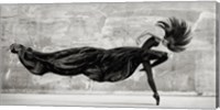 Black Swan Fine Art Print