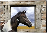 Painted Horse Fine Art Print