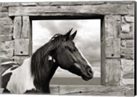 Painted Horse (BW) Fine Art Print